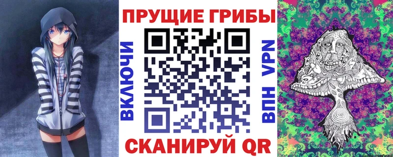 Псилоцибиновые грибы Cubensis  Аксай 